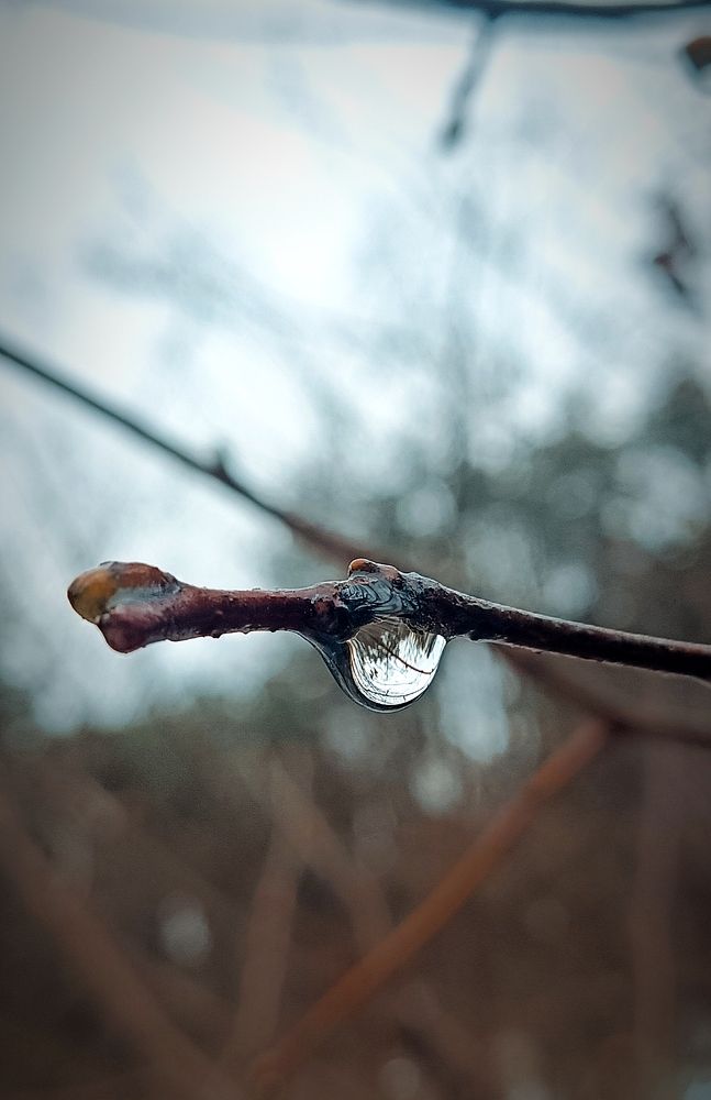 Photograph by Mishel Photographer