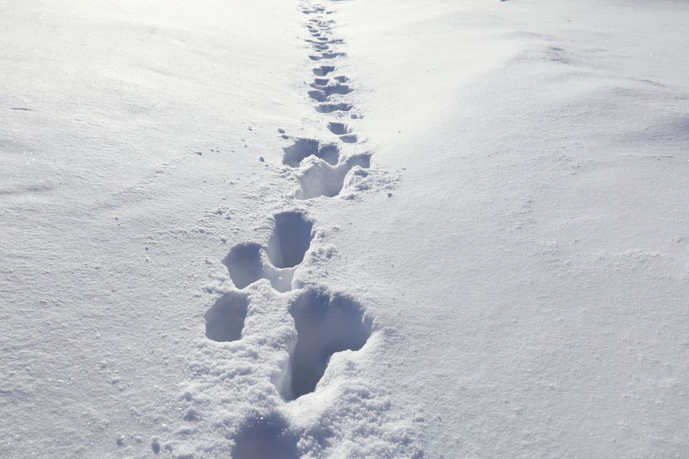 Photograph by Мария Самолевич