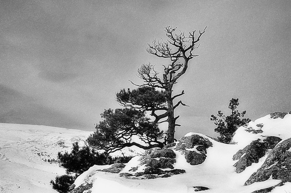 Photograph by  Владимир