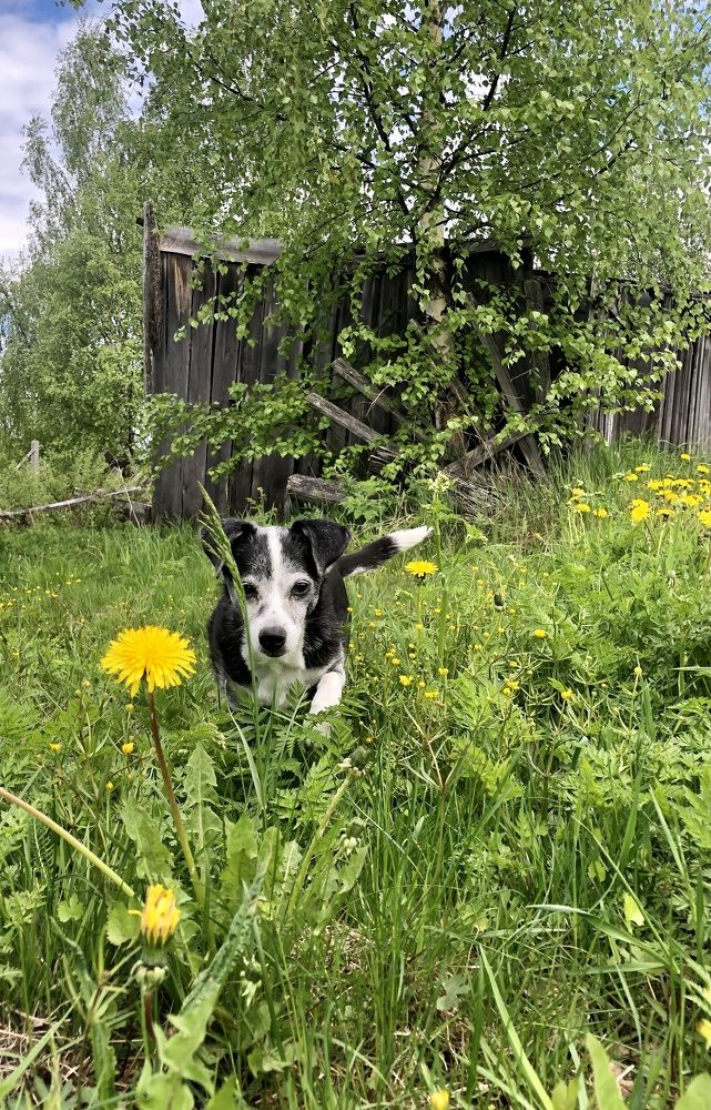 Photograph by Олеся Семёнова