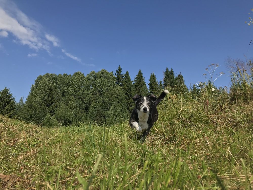 Photograph by Олеся Семёнова