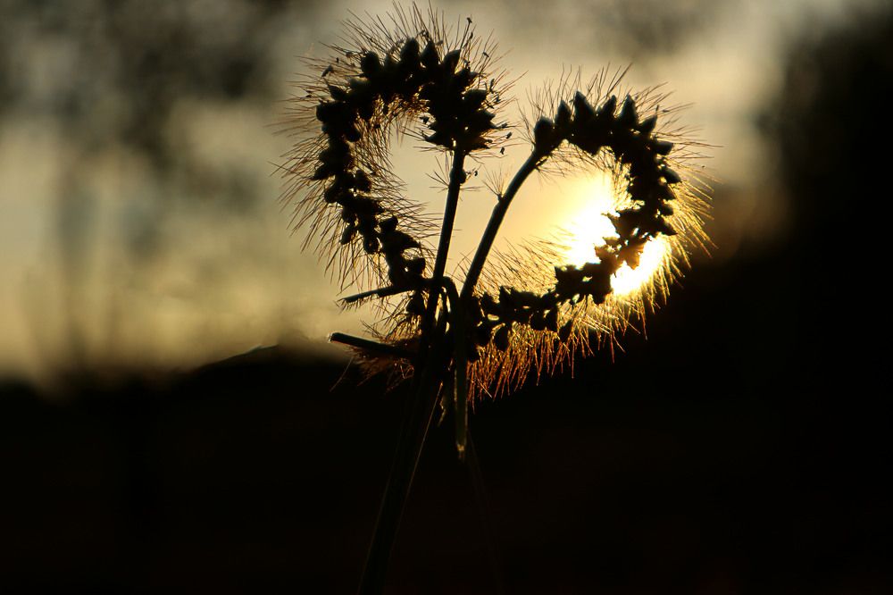 Photograph by Мария Самолевич