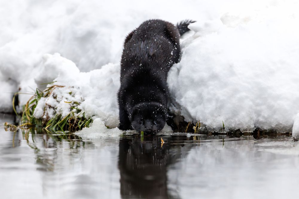 Photograph by Антон Науменко