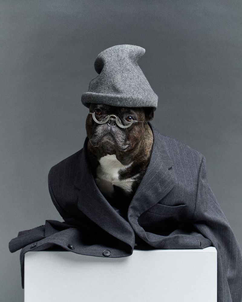 Photograph by Алла Чернова