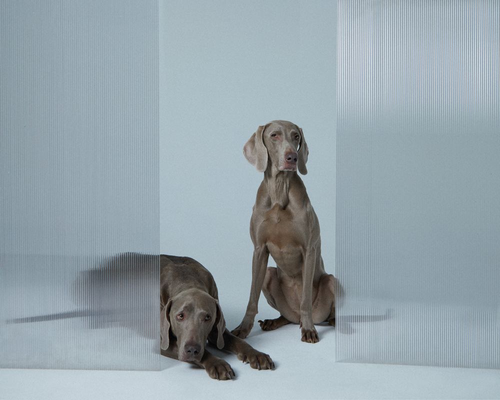 Photograph by Алла Чернова