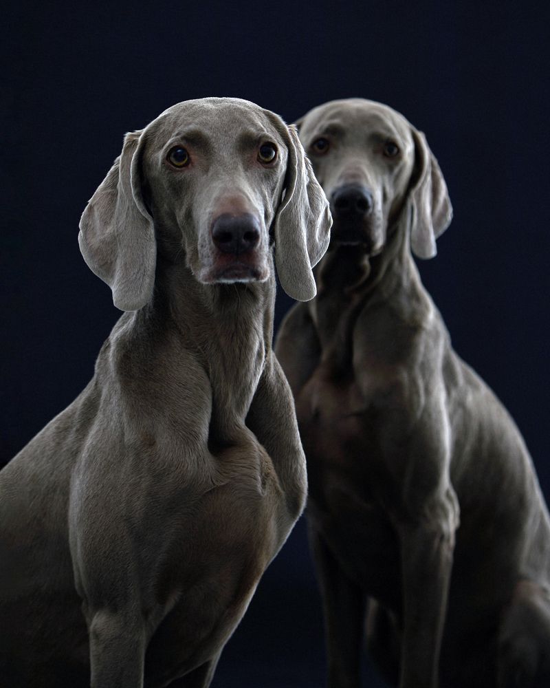 Photograph by Алла Чернова