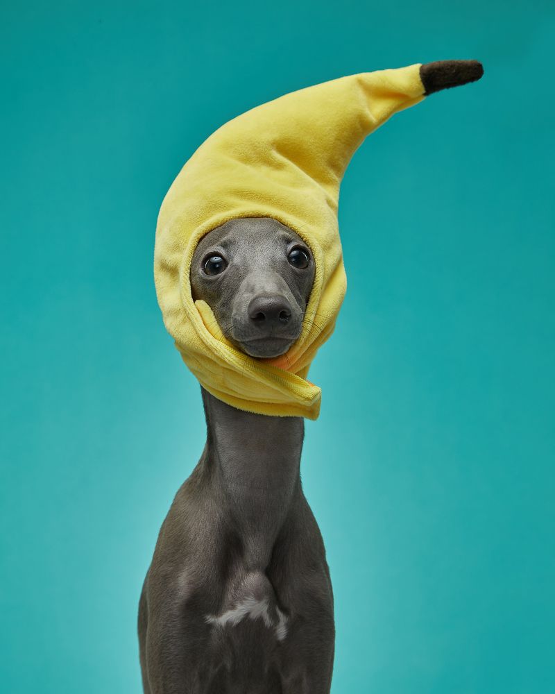 Photograph by Алла Чернова