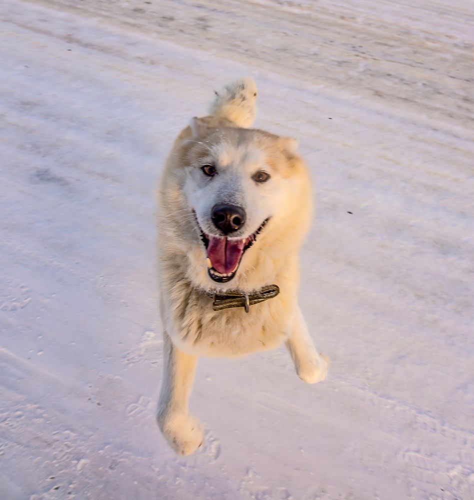 Photograph by Николай Грекалов