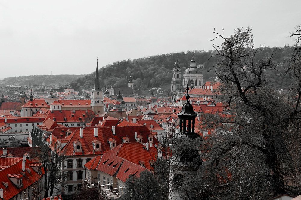 Фотография автора Светлана Долотова