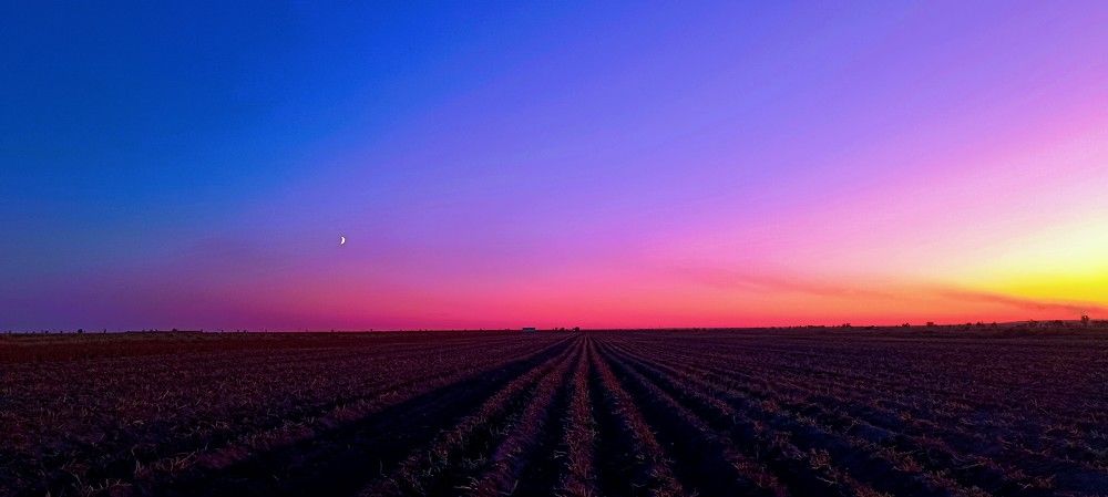 Photo #11672689