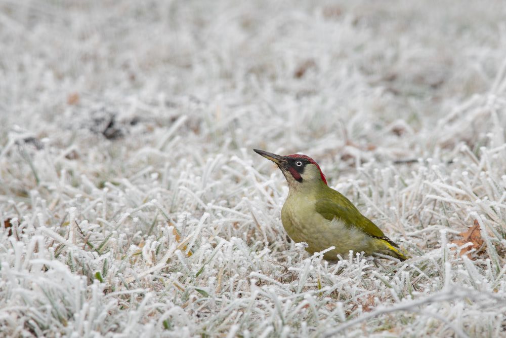 Photograph by Мамсур