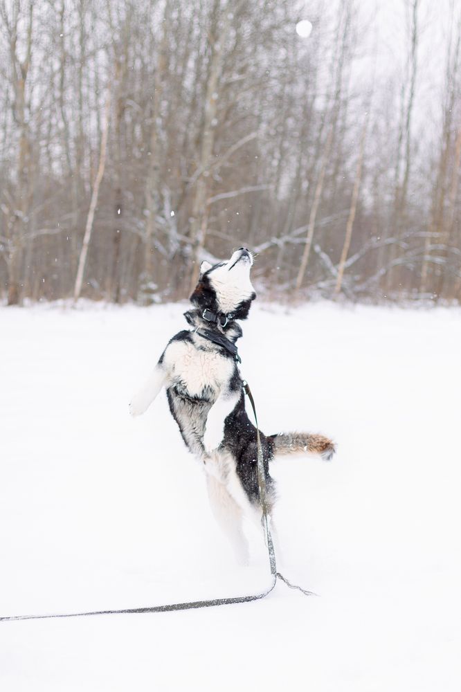 Photograph by Светлана Евдакова