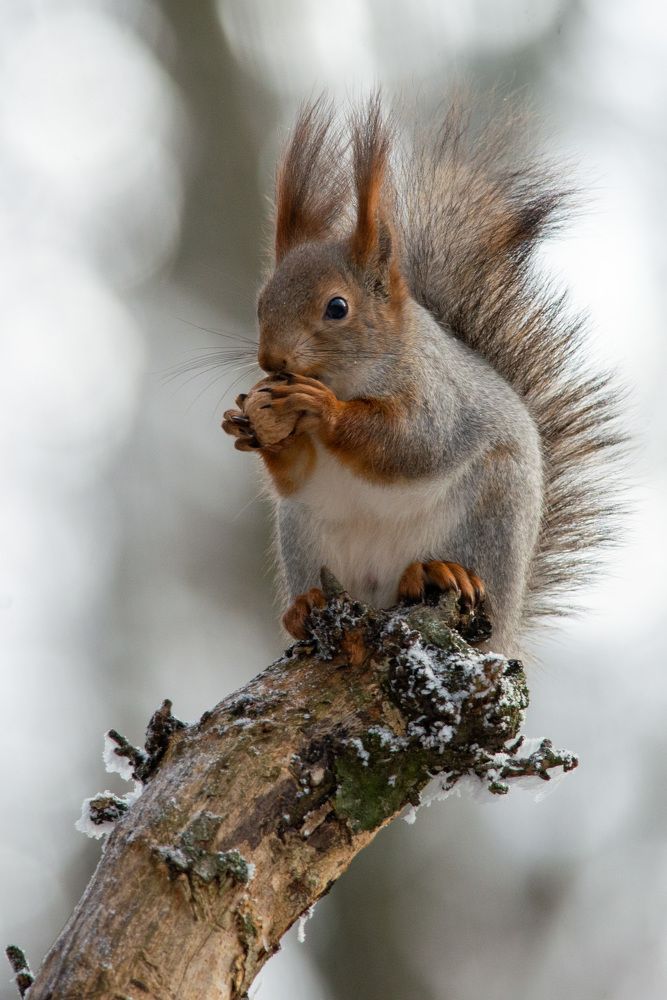 Photograph by Мамсур