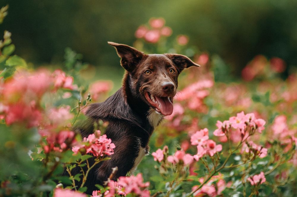 Photograph by Жаренко Евгения