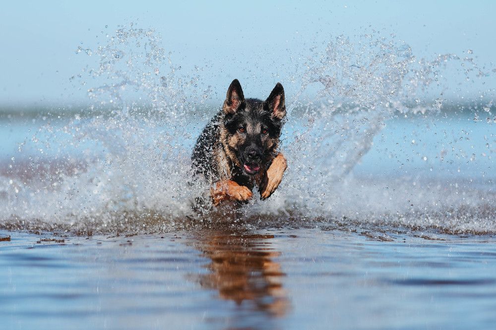 Photograph by Жаренко Евгения