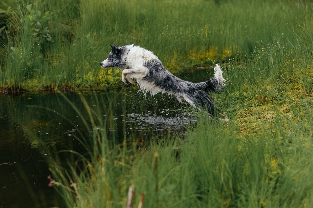 Photograph by Жаренко Евгения