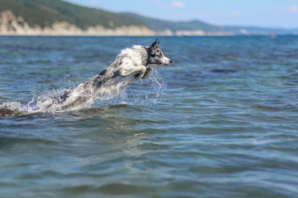 Photograph by Жаренко Евгения