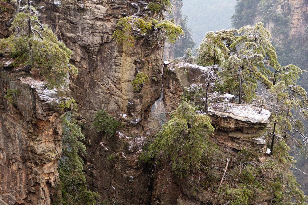 Photograph by Marina Shamonina