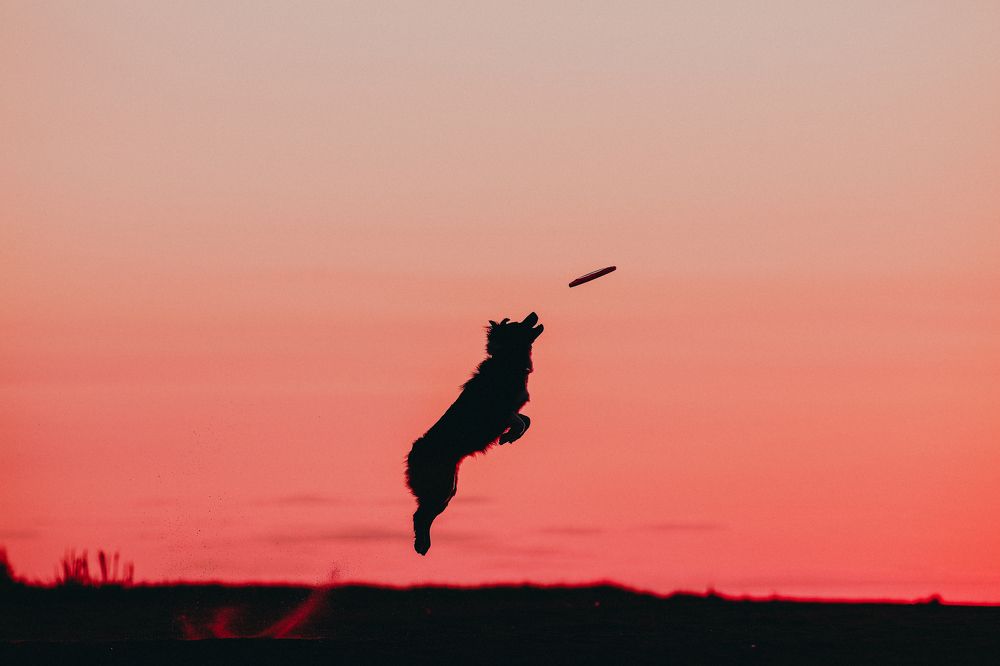 Photograph by Жаренко Евгения