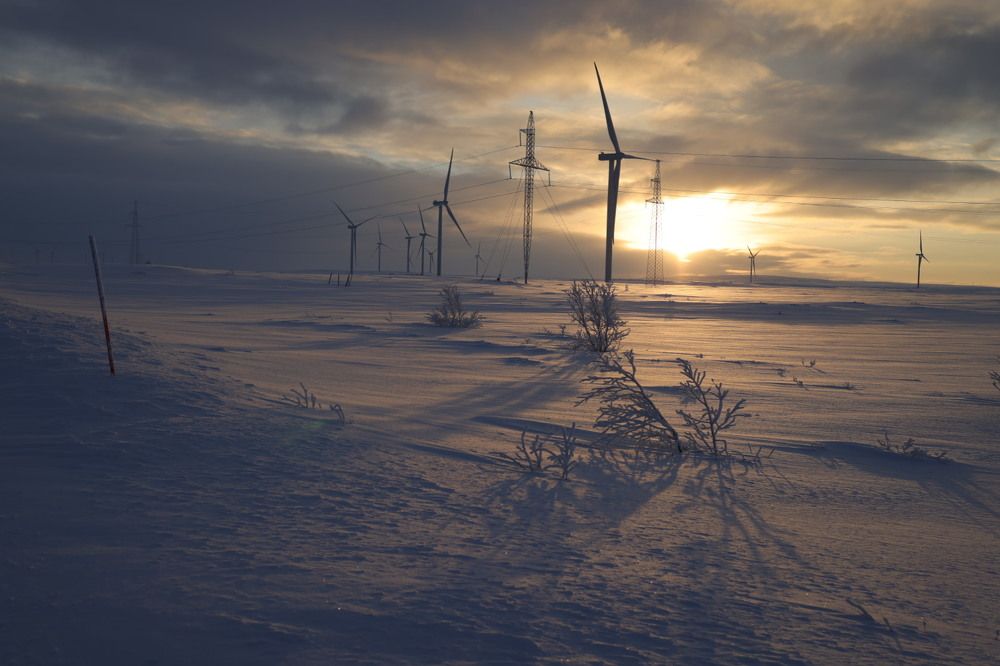 Photograph by Одаренко Ольга