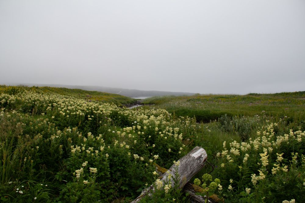 Photograph by Marina Shamonina