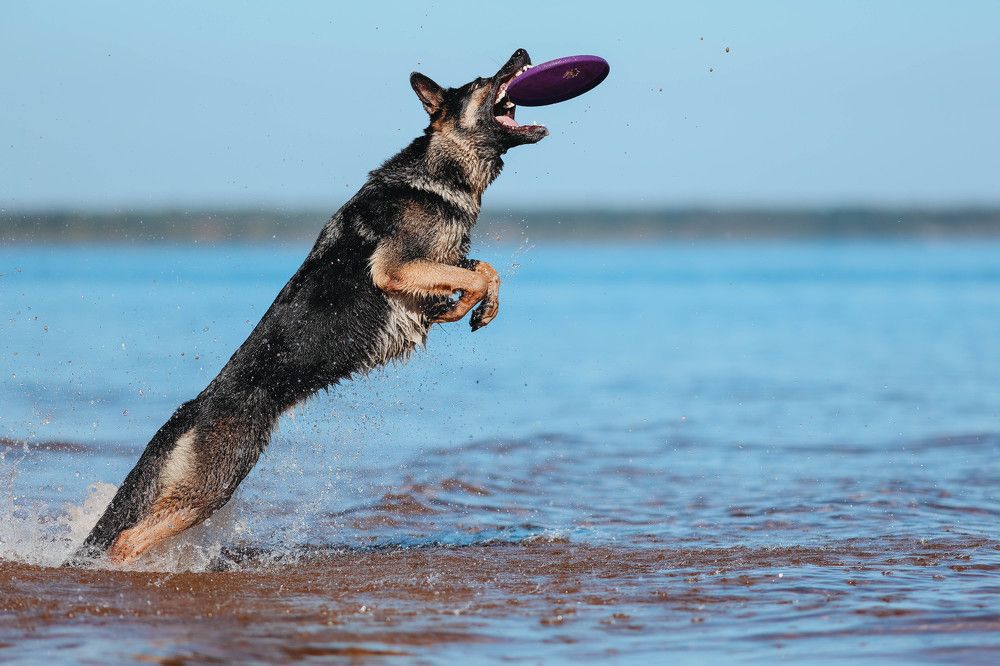 Photograph by Жаренко Евгения