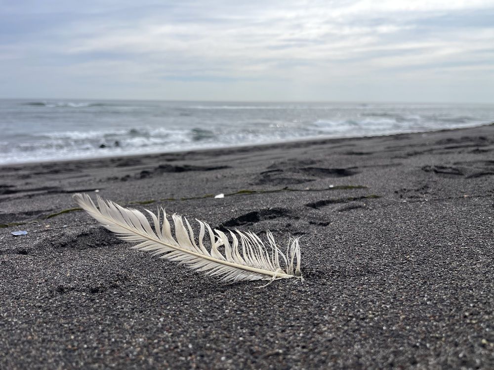 Photograph by Одаренко Ольга