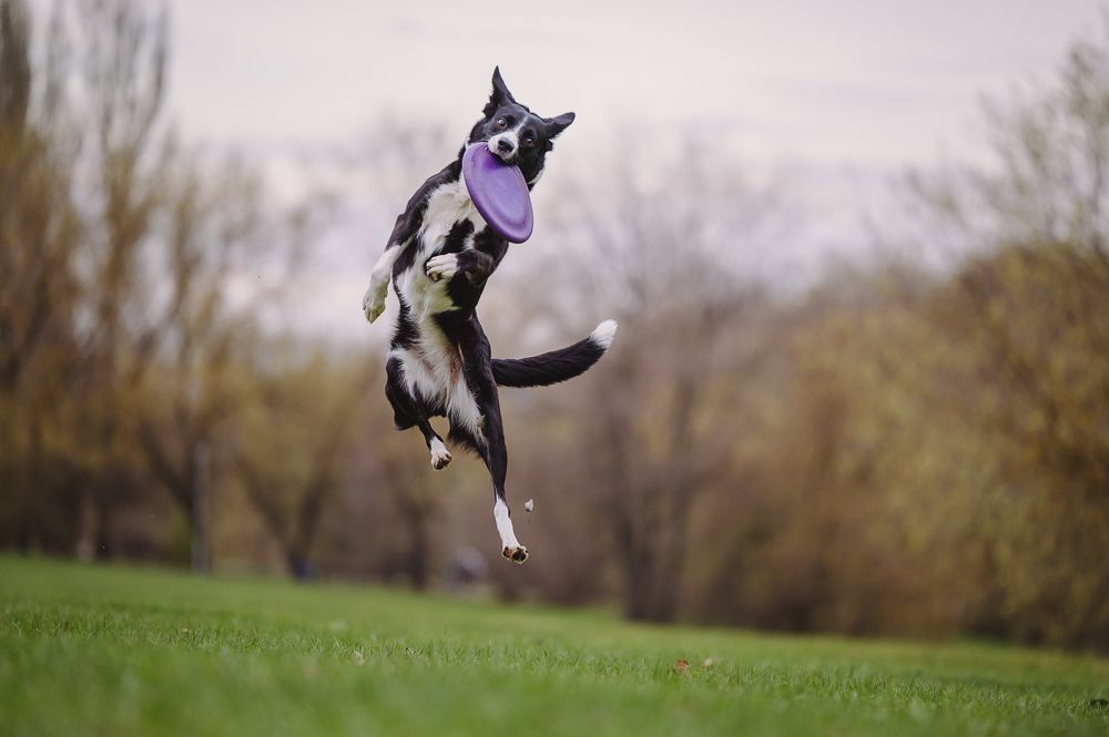 Photograph by Kate Entsi