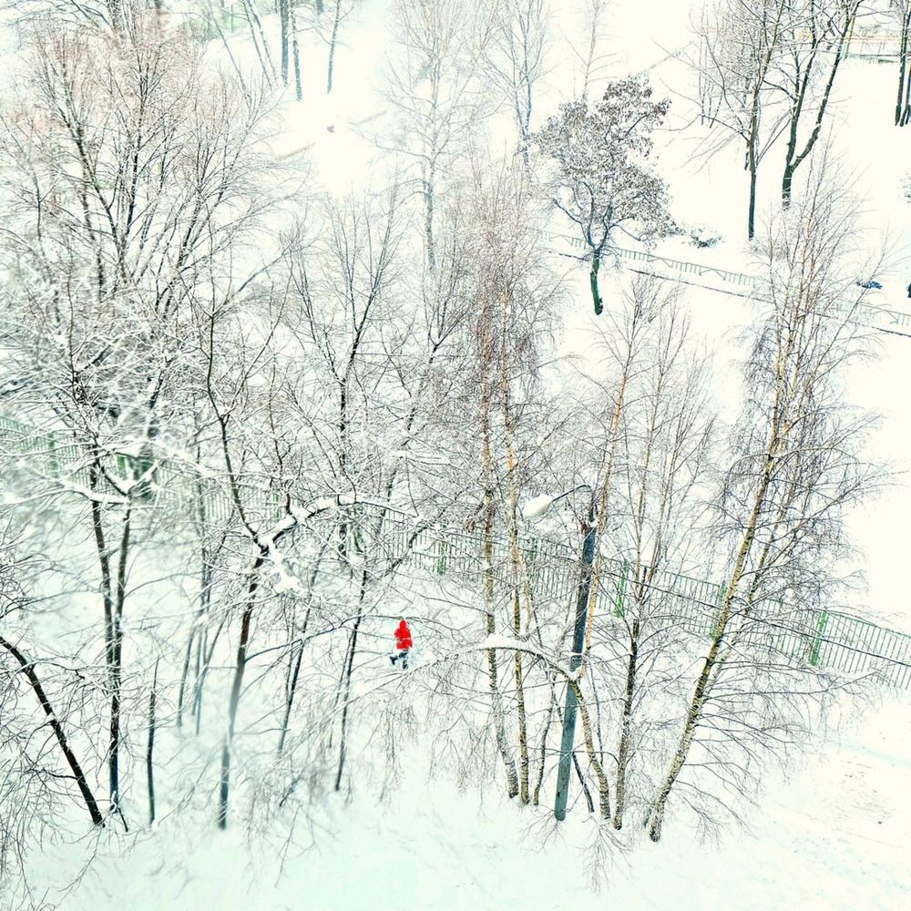 Photograph by LarisaMostseeva