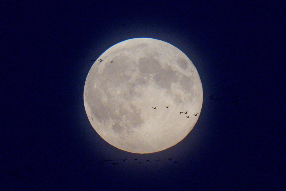 Photograph by Дмитрий Дрозд