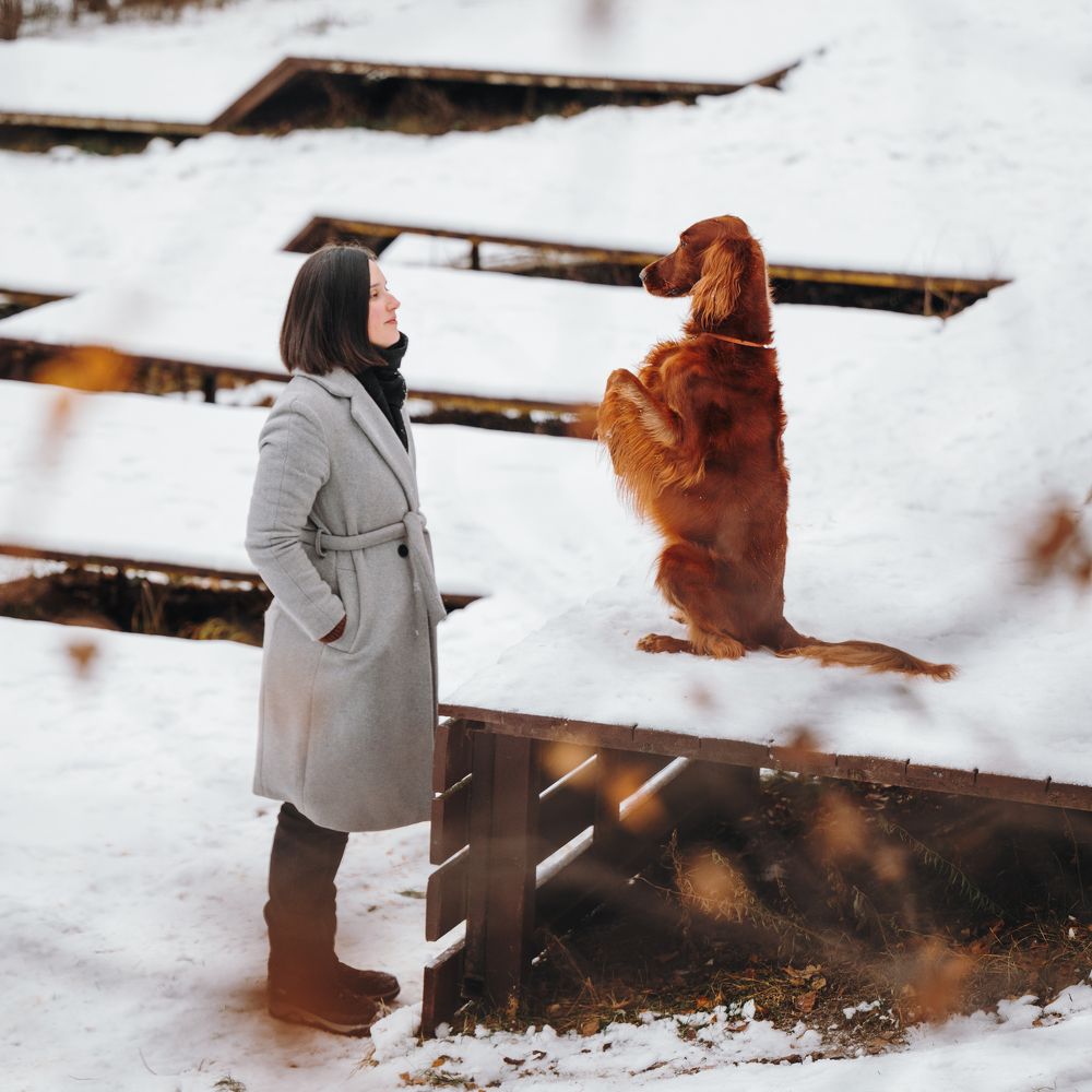 Photograph by Мария Ананьева