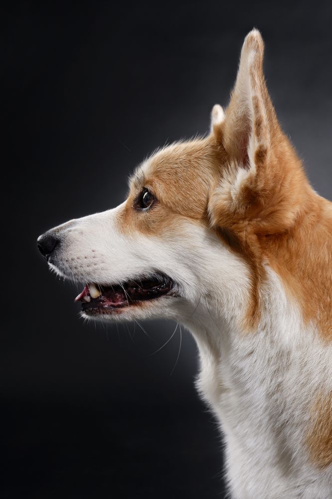 Photograph by Евгения Титова