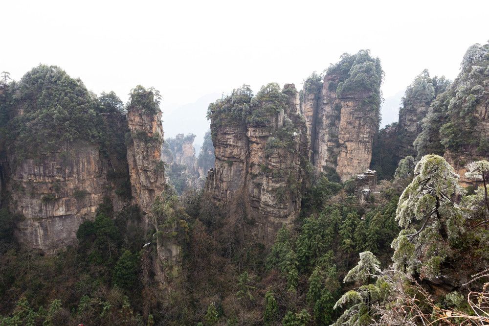 Photograph by Marina Shamonina