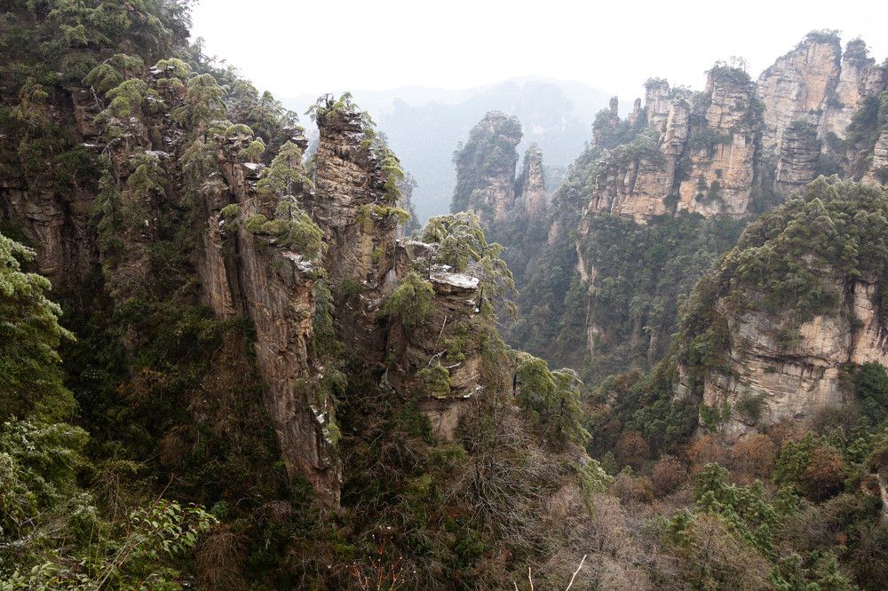 Photograph by Marina Shamonina