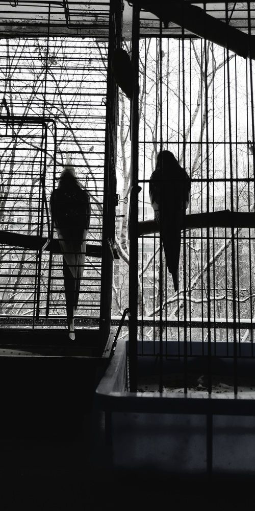 Photograph by Ольга Мольдон