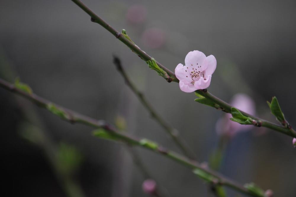 Photograph by Титова Наталья