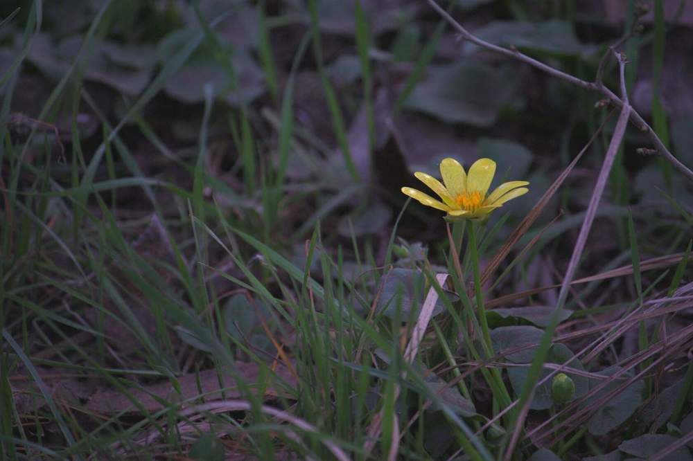 Photograph by Титова Наталья
