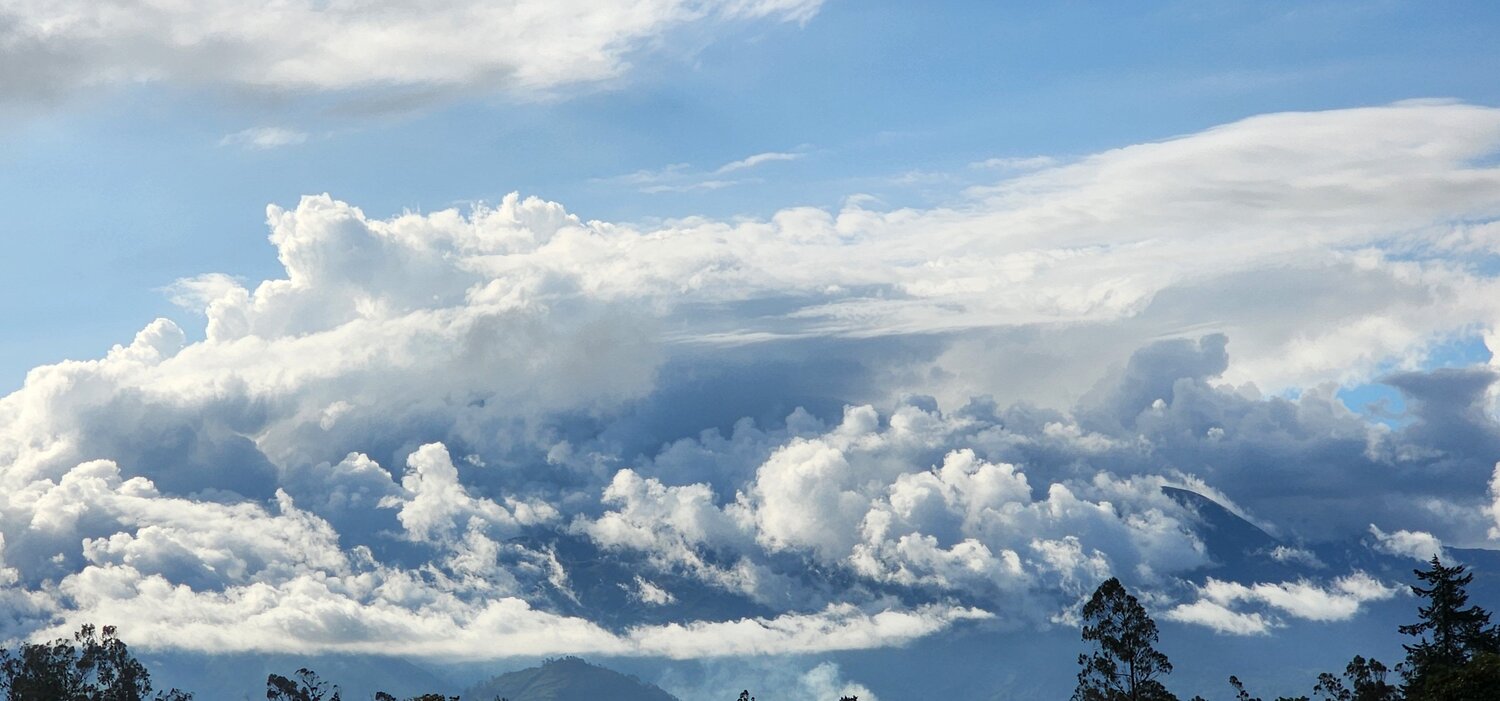 Photo #11673035