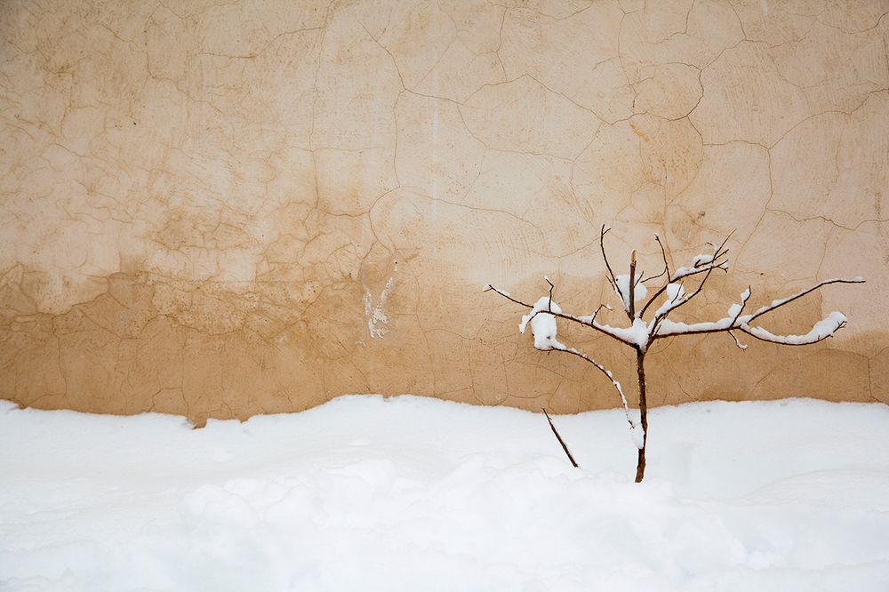 Photograph by Hengameh pirooz