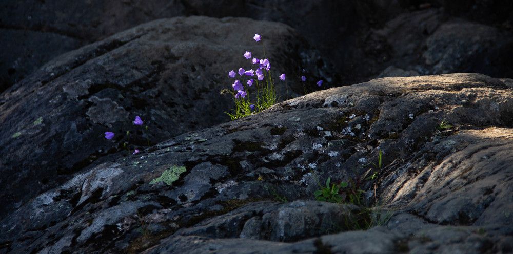 Photograph by Marina Shamonina