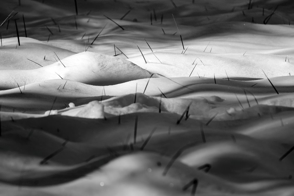 Photograph by Julius LIU