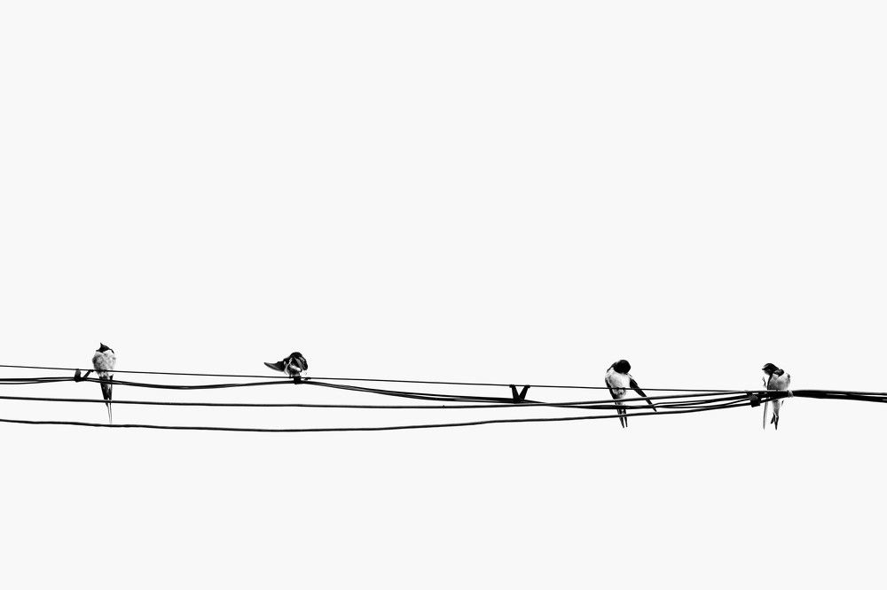 Photograph by Teodora Ivanova