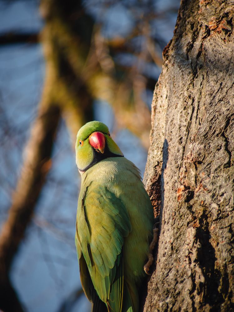 Photograph by Ирина Протченко