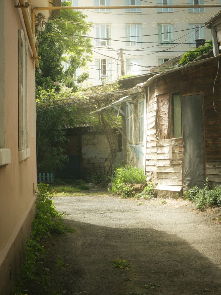 Photo #11673194