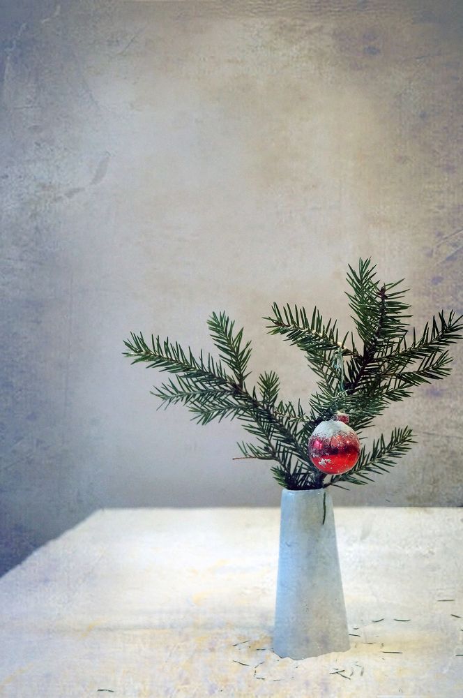 Фотография автора Penka Berberova