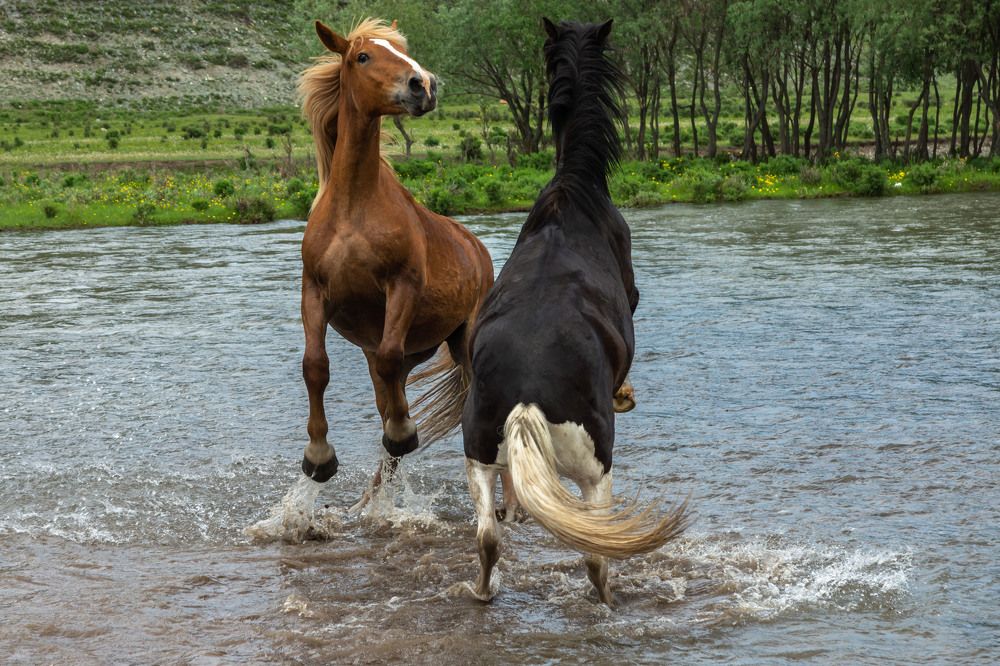 Photograph by Olga Sharikova
