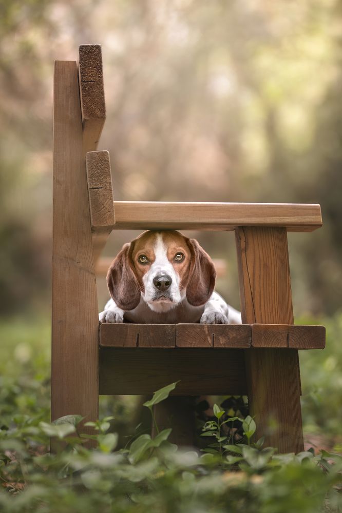 Photograph by Leticia Hernandez