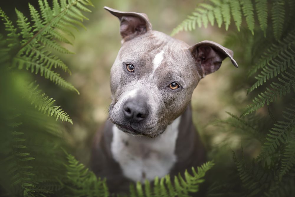 Photograph by Leticia Hernandez