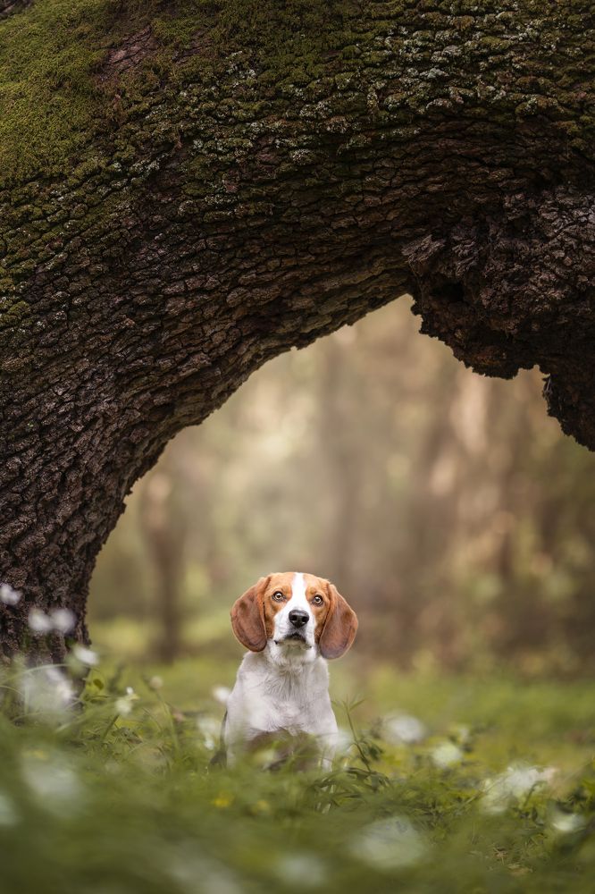 Photograph by Leticia Hernandez