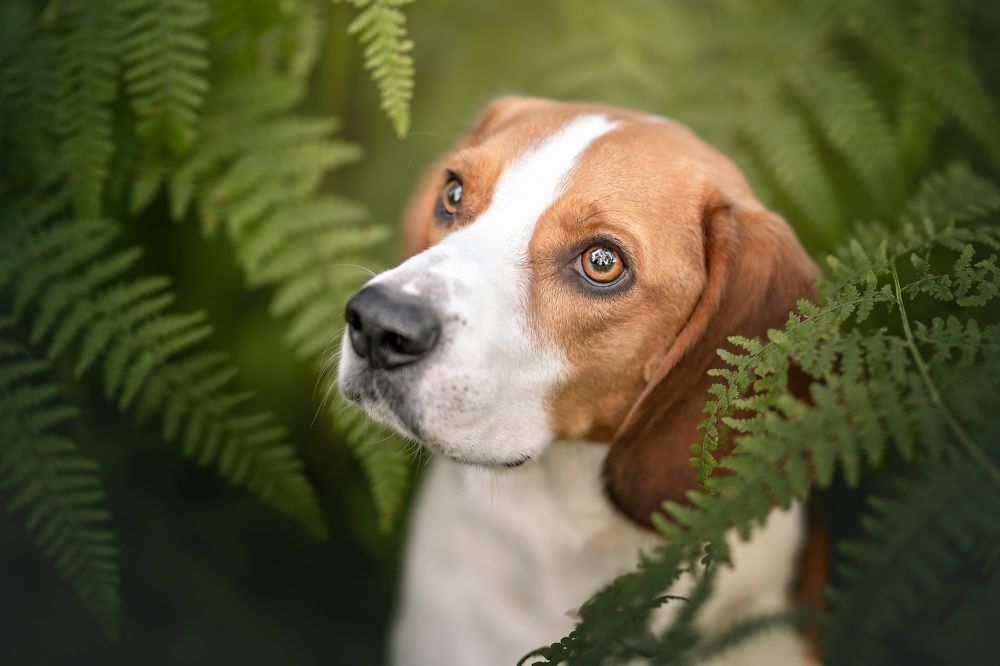 Photograph by Leticia Hernandez